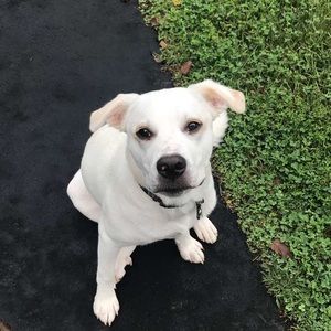 Meet your Posher, Kasey